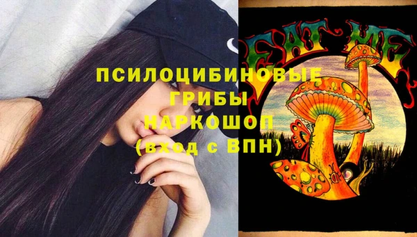 эйфоретик Осинники