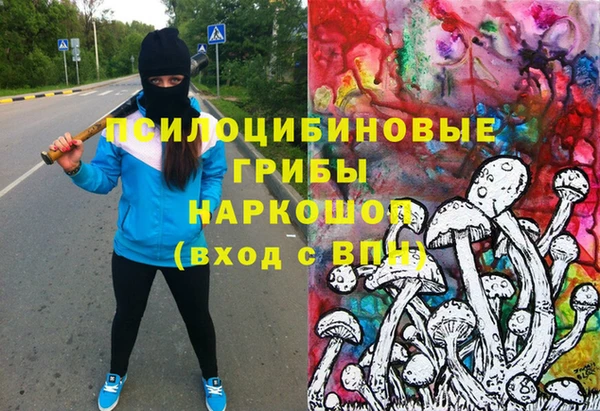 стаф Нязепетровск
