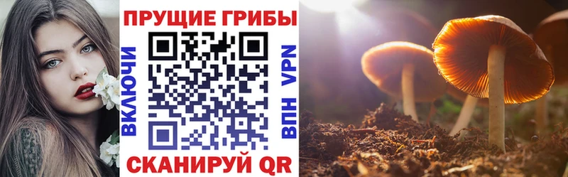 Галлюциногенные грибы GOLDEN TEACHER  МЕГА как зайти  Химки 