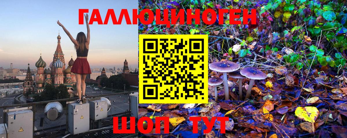 Галлюциногенные грибы Psilocybe  Химки 