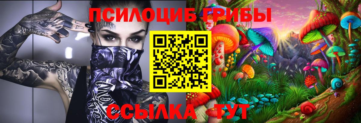 Псилоцибиновые грибы Psilocybe Химки
